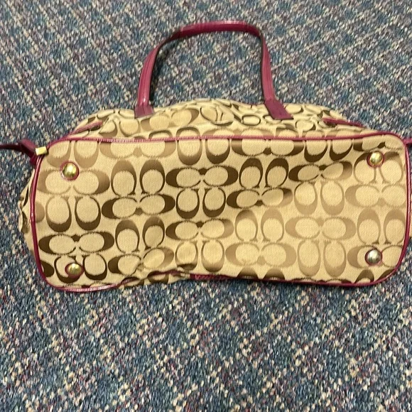 Used Coach Signature Python Stripe Carry-All